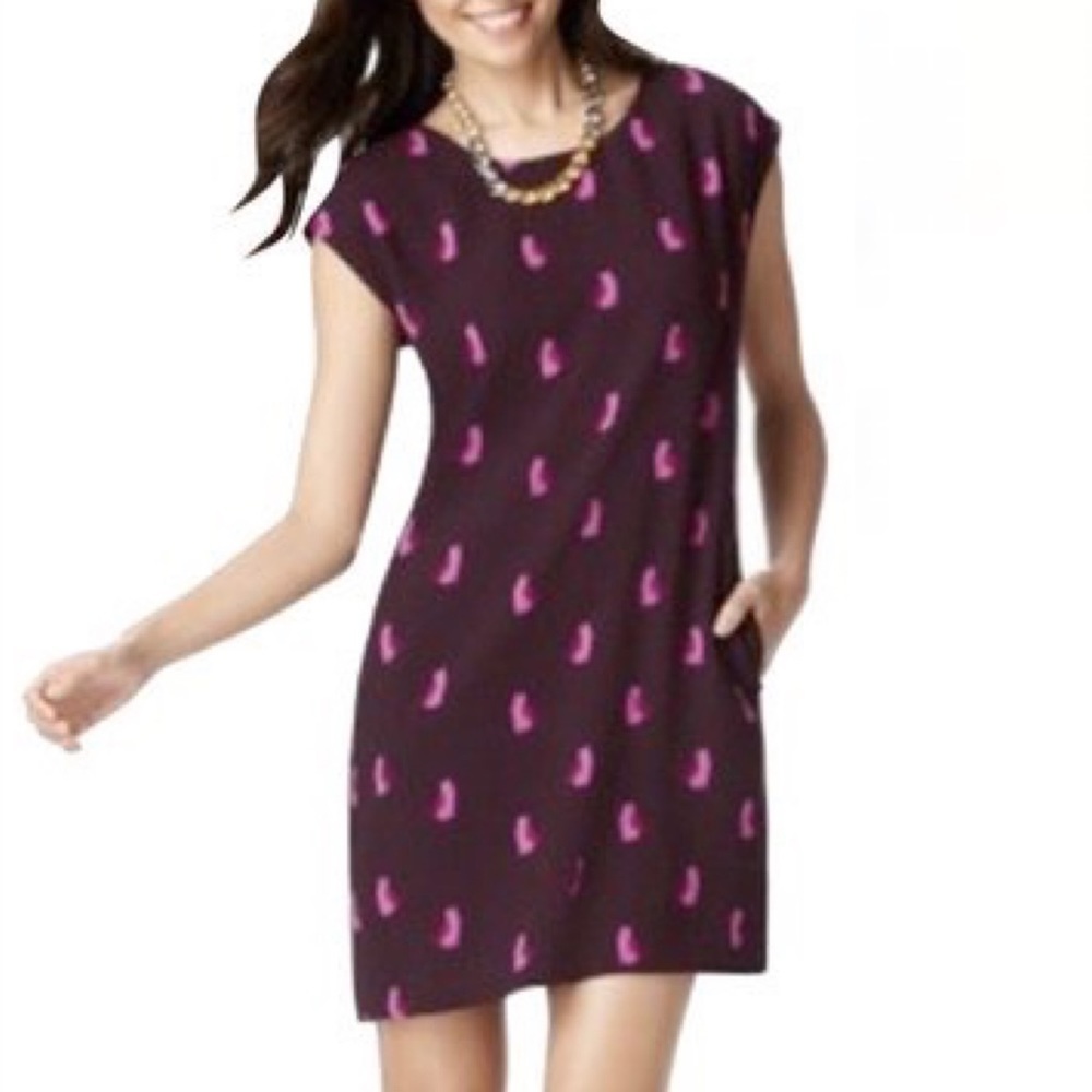 Ann Taylor LOFT Brown Cat Print Shift Work/Office Sleeveless Dress Short XSmall